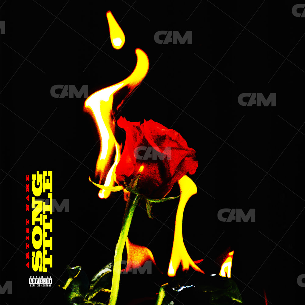 Burning Rose