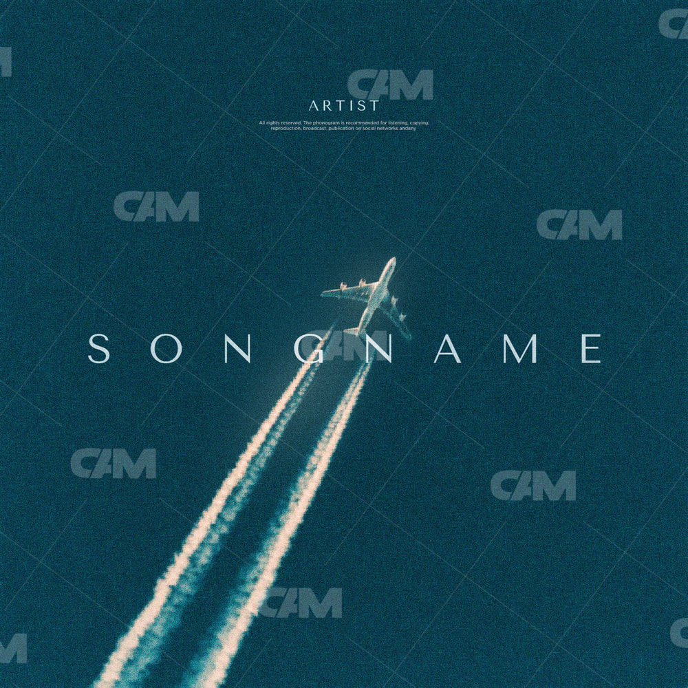 Flight