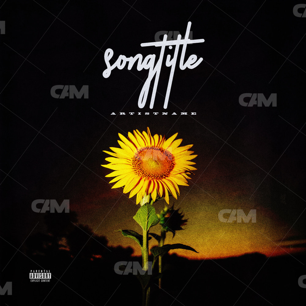 Sun Flower