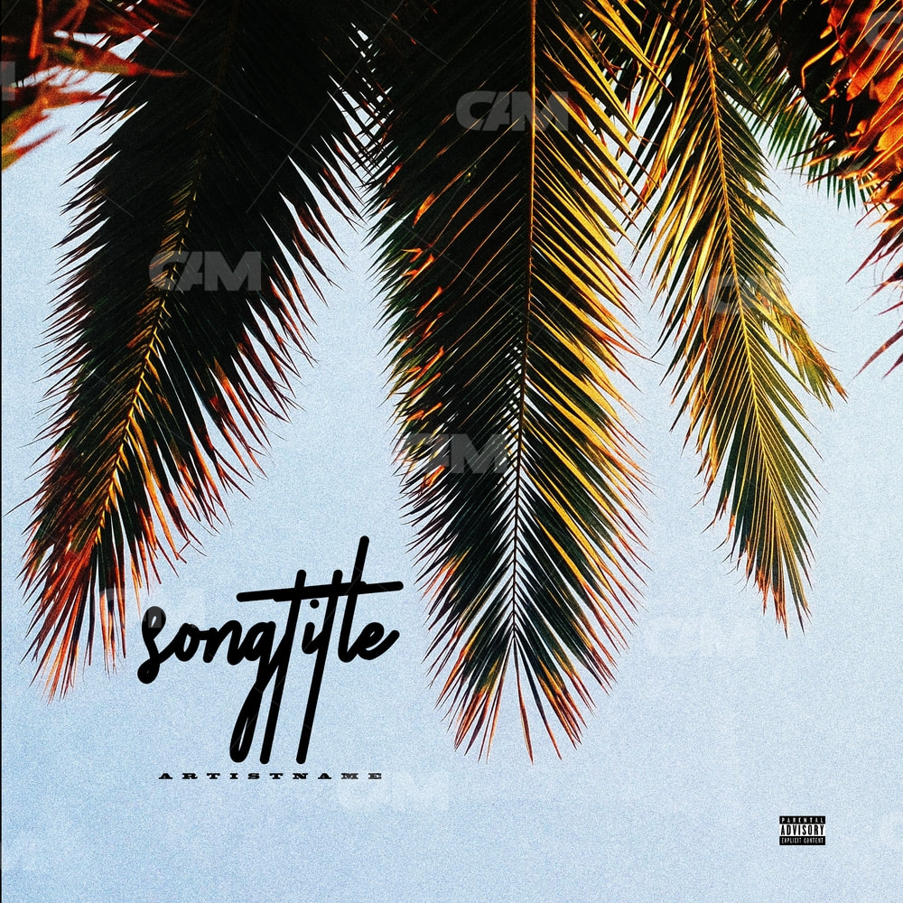 Summer Palm
