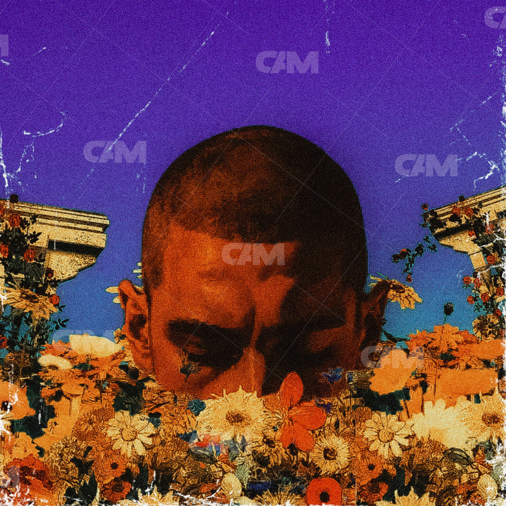 Bloom