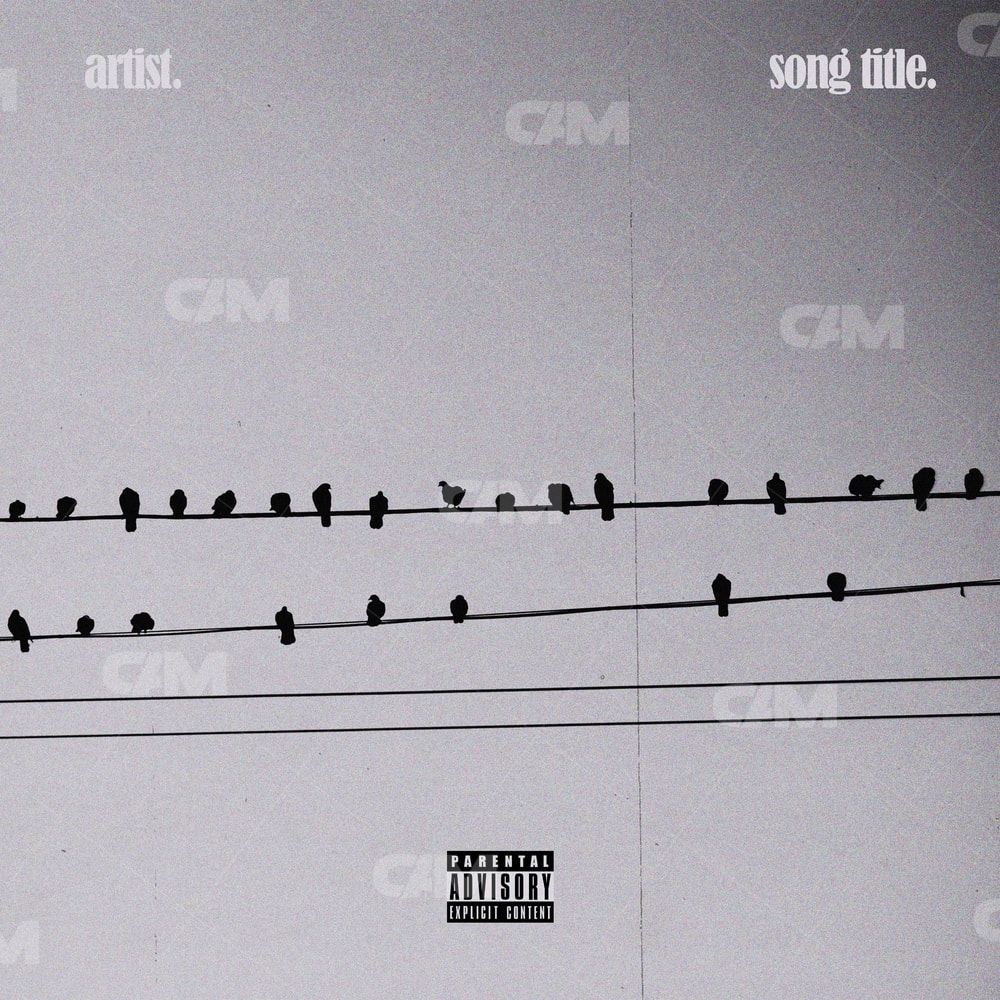 Flock