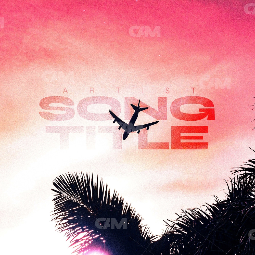 Airplane & Palm