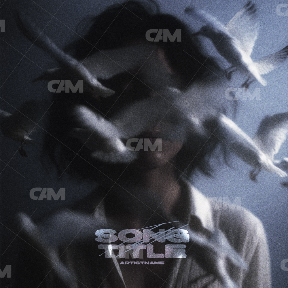 Birds Around The Girl