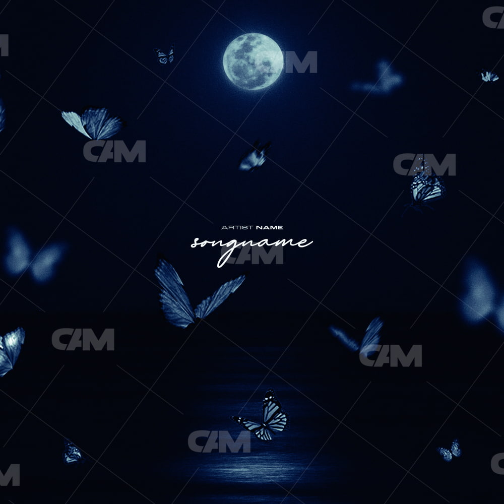 Butterflies On Moon