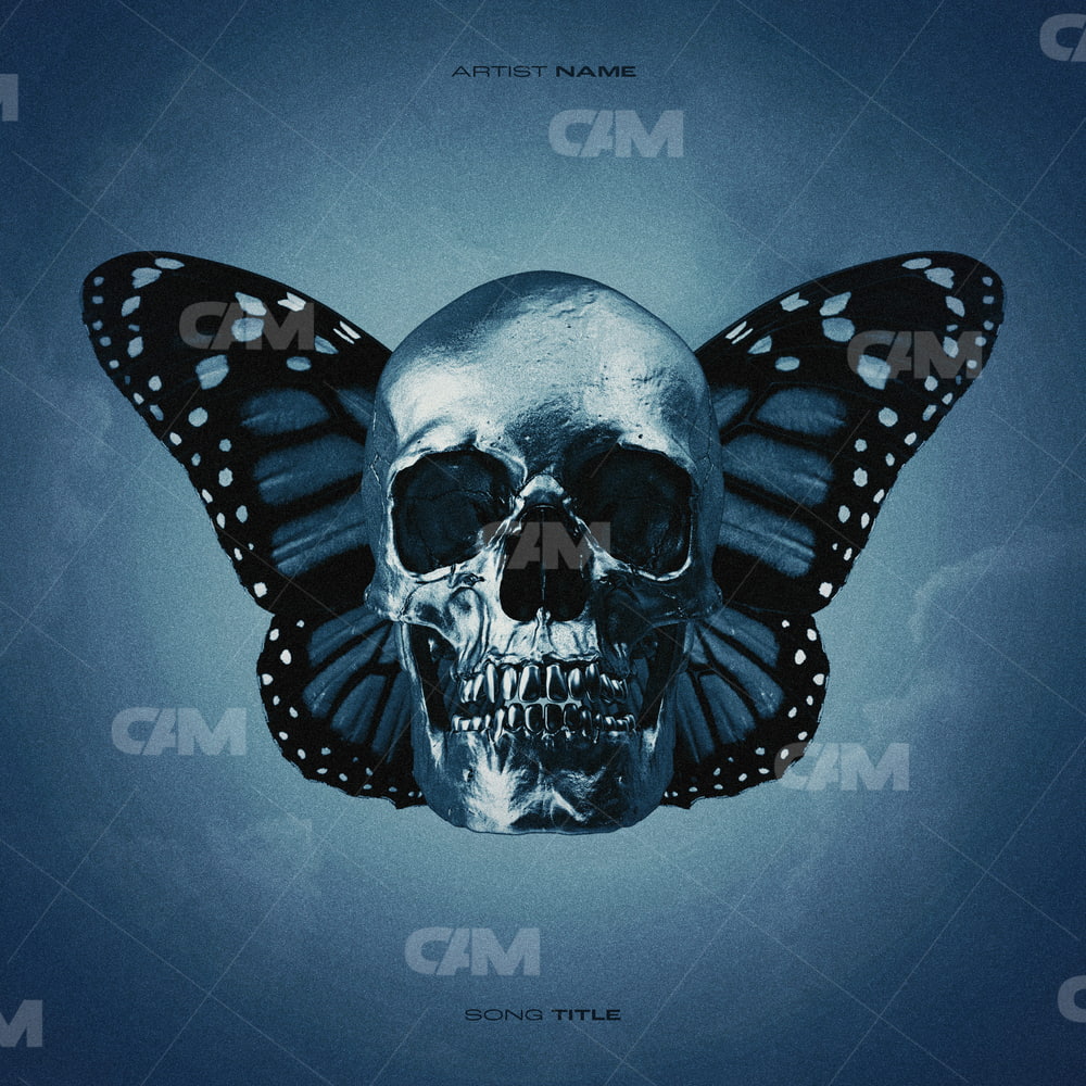 Butterfly And Skull