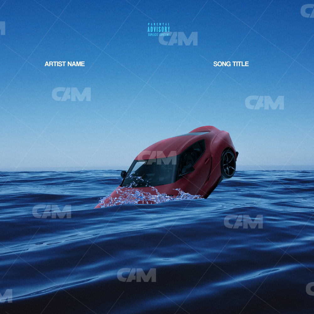 Car In Water