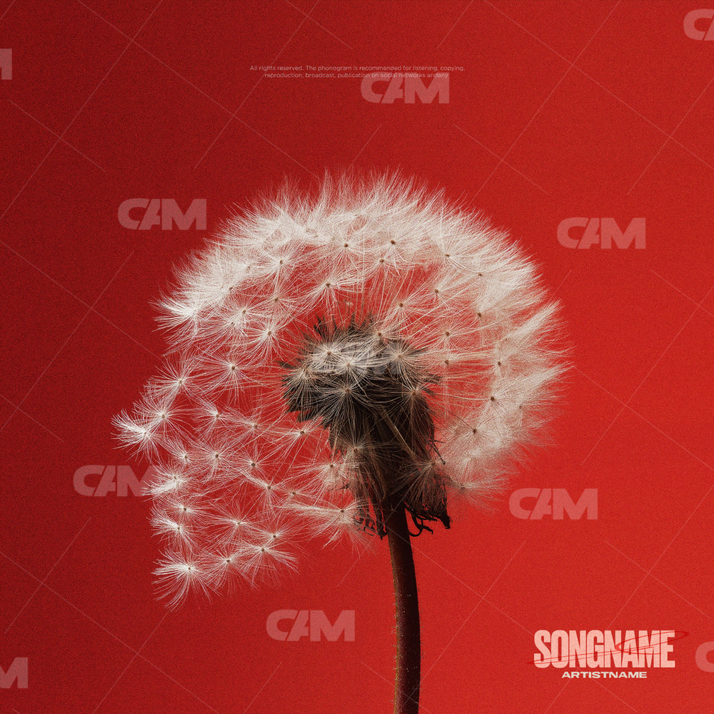 Dandelion