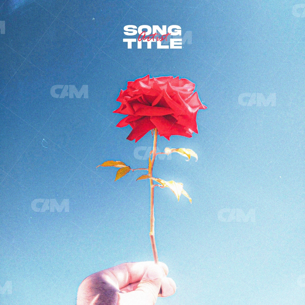 Holding Rose