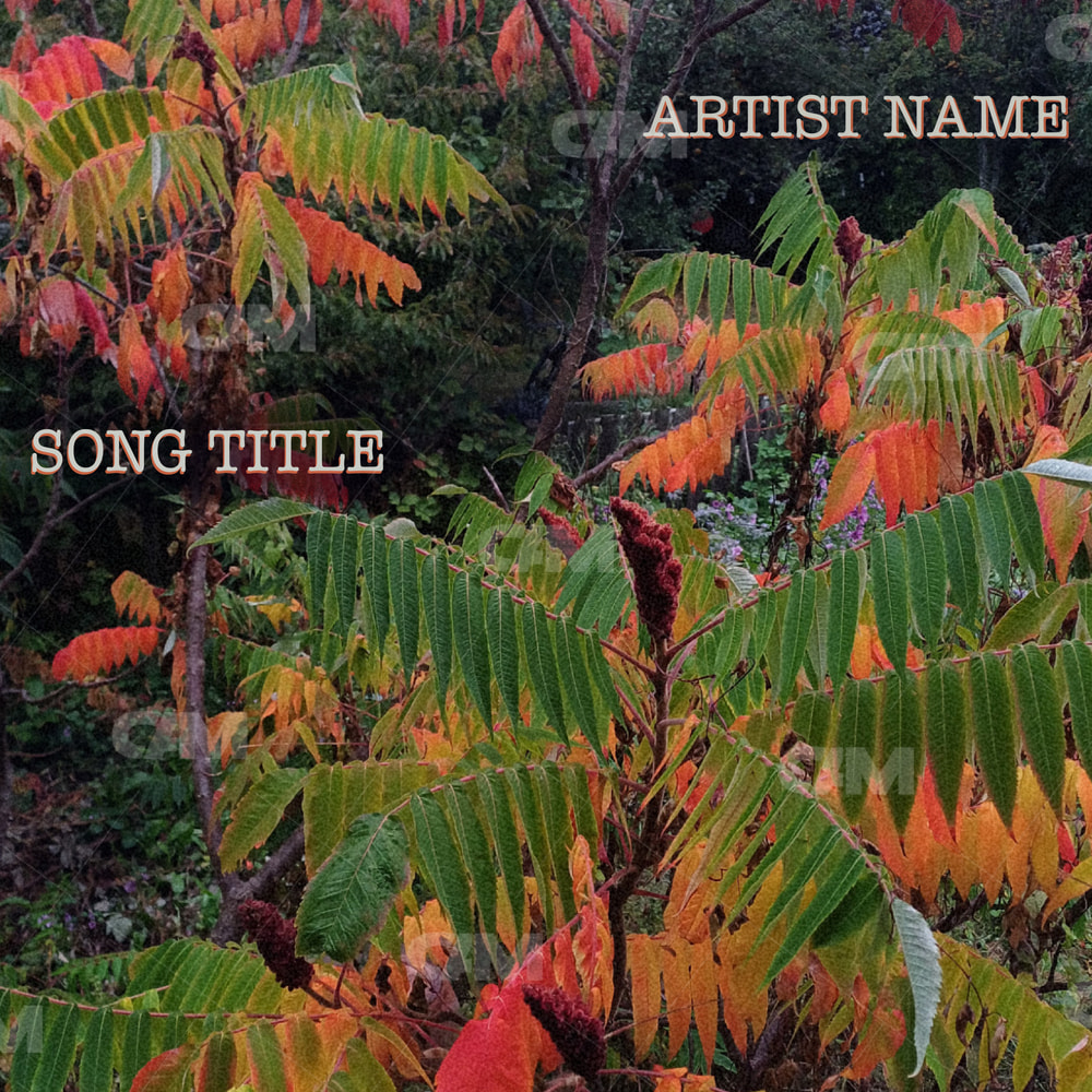 Jungle Automn
