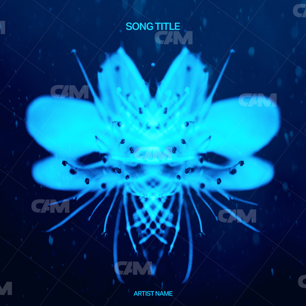 Lucid Bloom