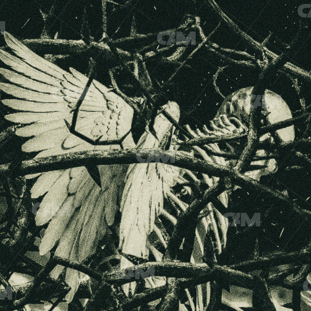 Overgrowth