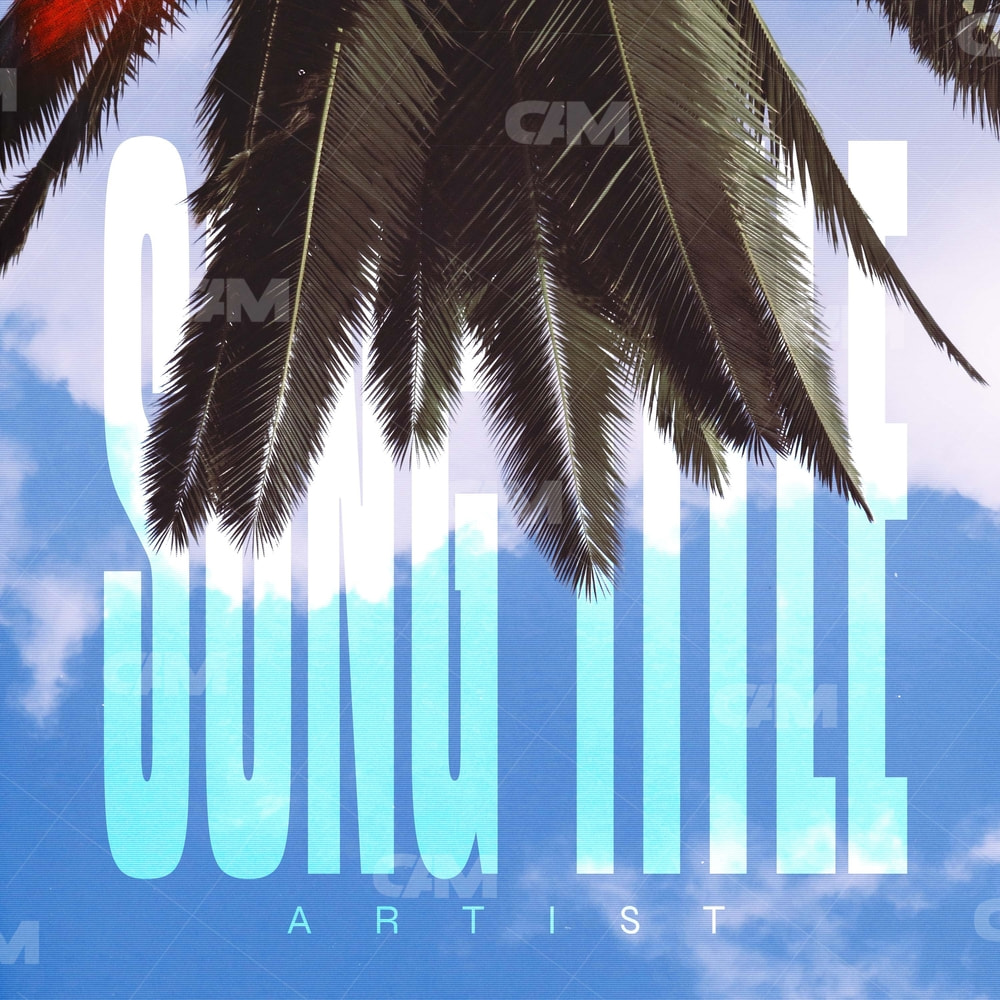 Palm Leaves