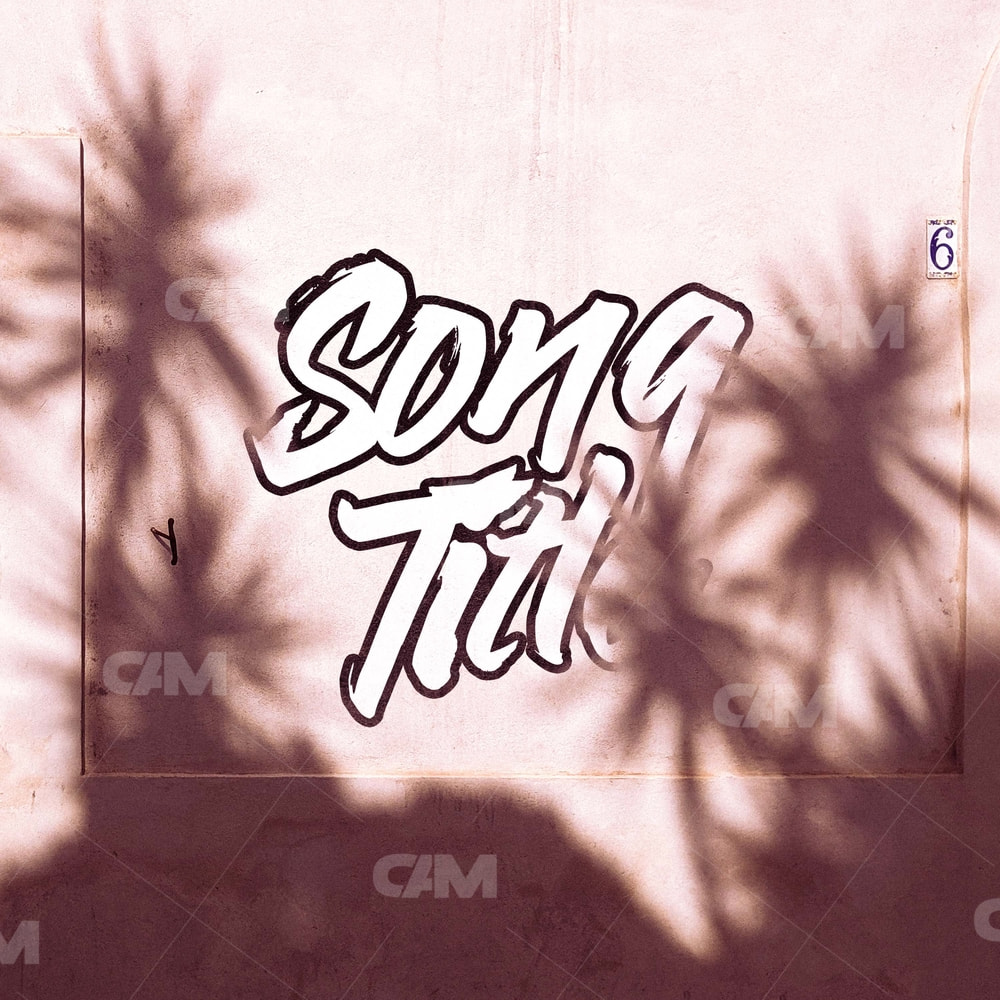 Palms Shadows