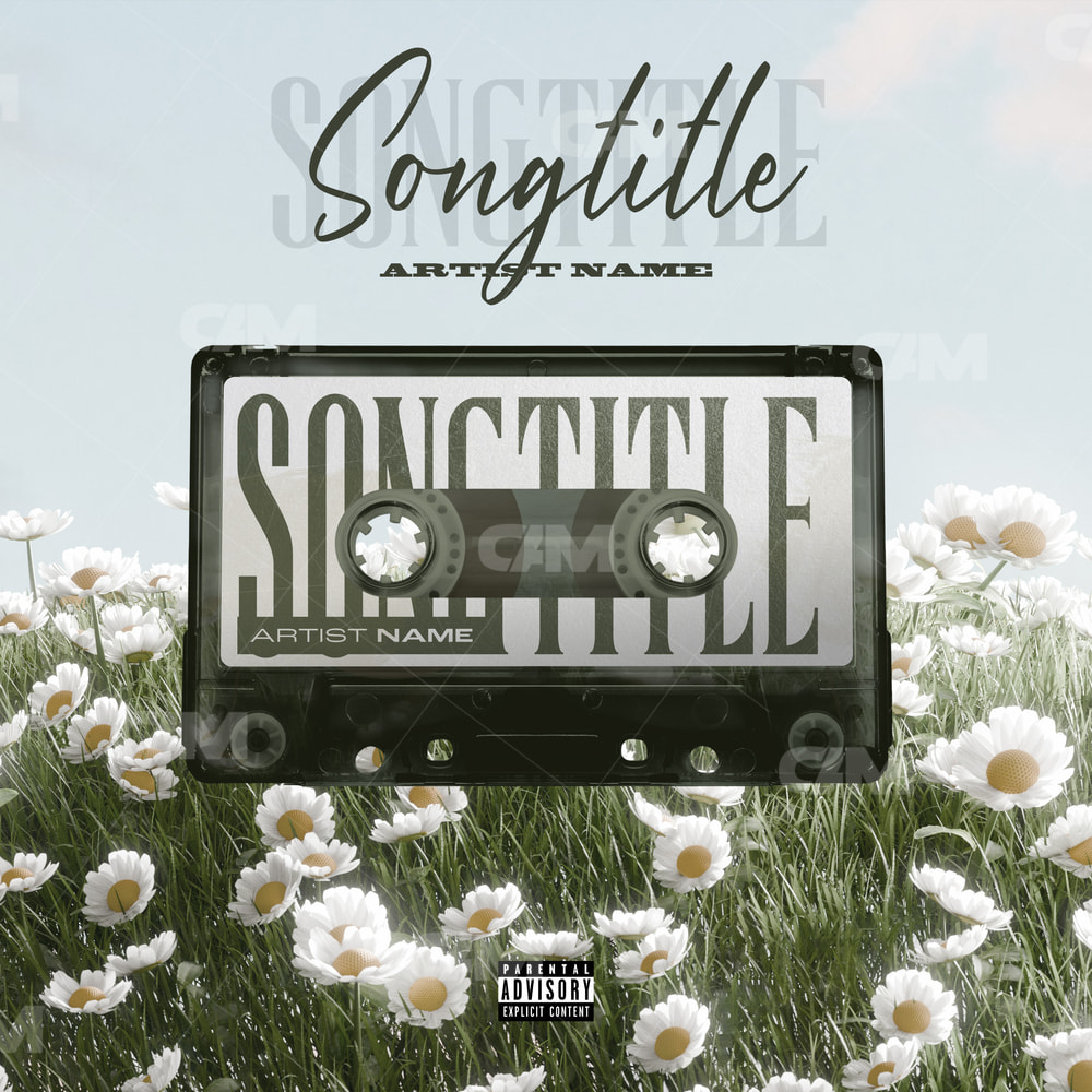 Peacefull Cassette