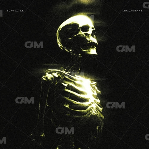 Skeleton