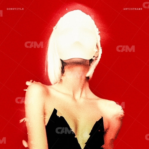 Girl In A Mask