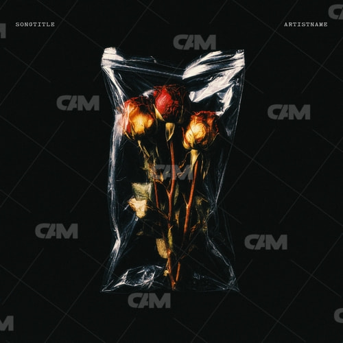 Roses In A Bag