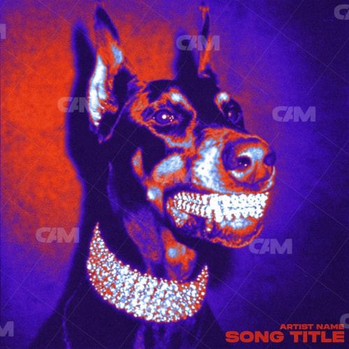 Doberman