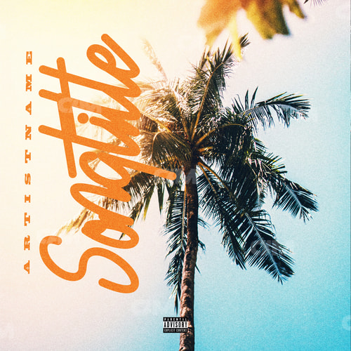 Summer Palms