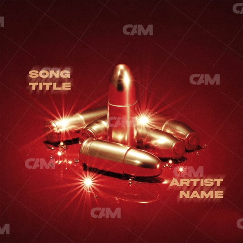 Bullets