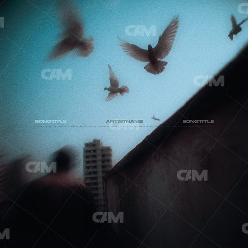 Birds Are Circling