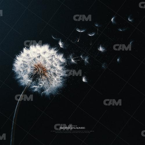 Dandelion