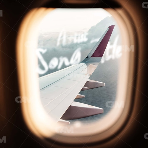 Plane View