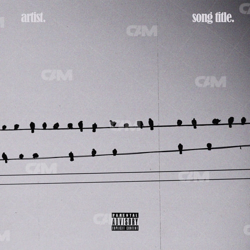 Flock