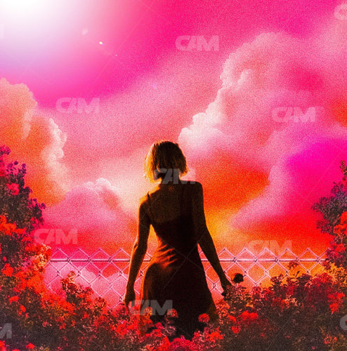 Pink Sky