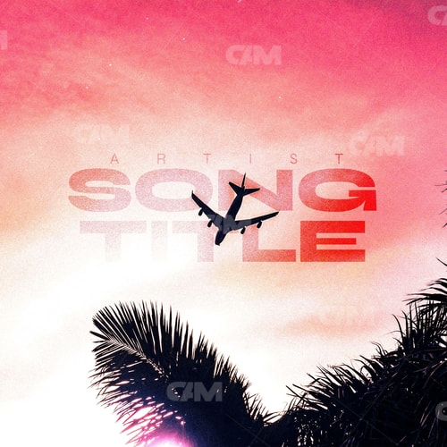 Airplane & Palm