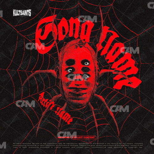 ALONG CAME A SPIDER