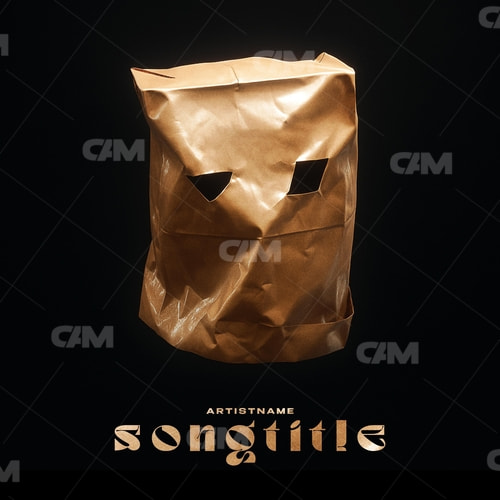 Bag On The Head