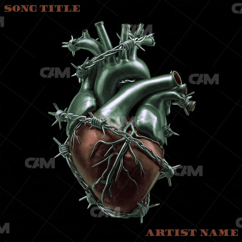 Barbed Heart
