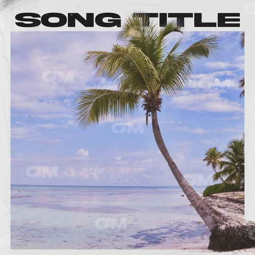 Better Palm Summer