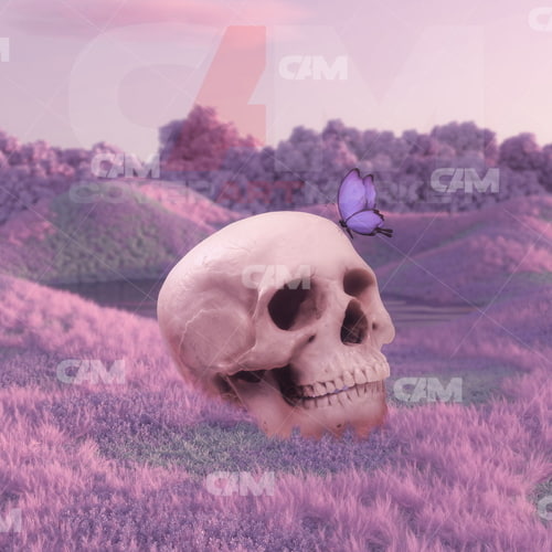 Buried Skull