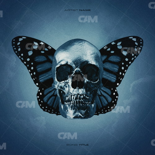 Butterfly and Skull