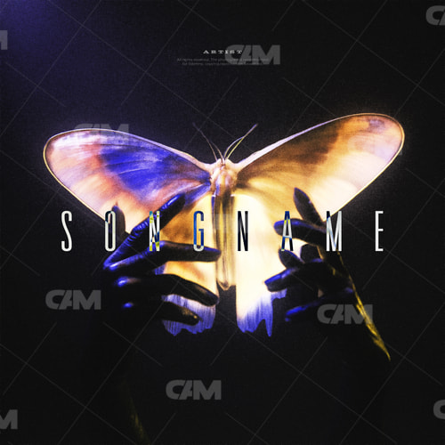 Butterfly In Hands