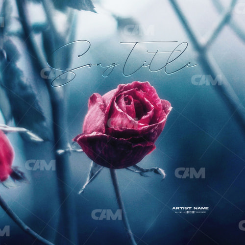 Cold Rose