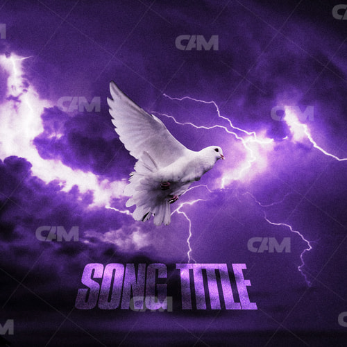 Dove & Storm