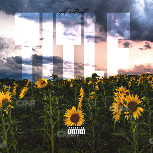 Flowers Field