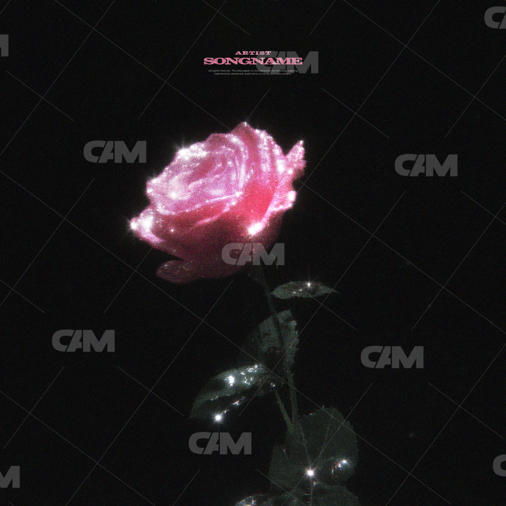 Shiny Rose
