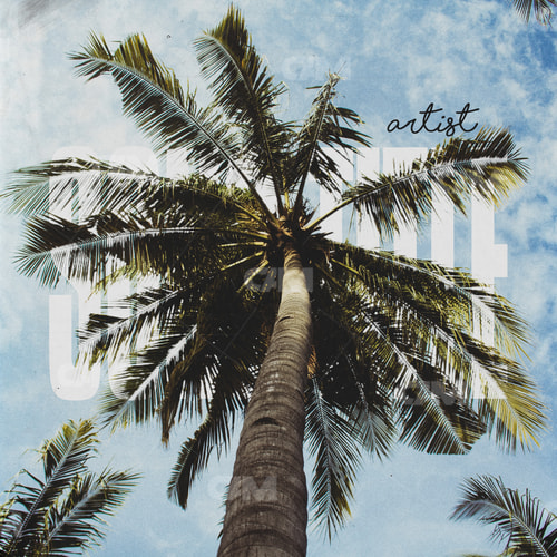 Island Vibes