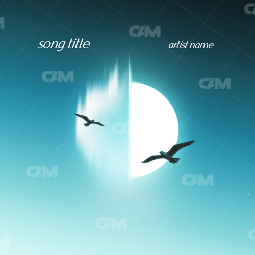 Motion Moon