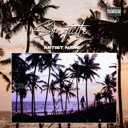 Palms vibes
