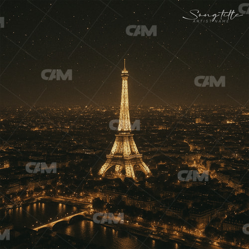 Paris Nights