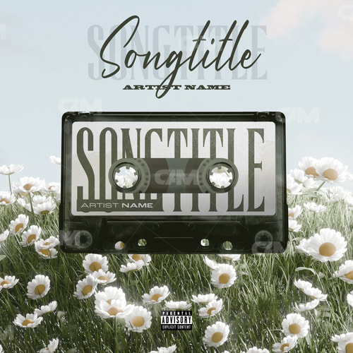 Peacefull Cassette