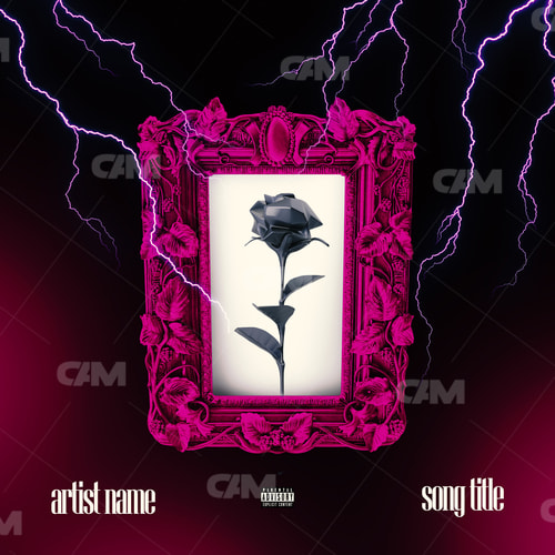 Pink Dark Rose