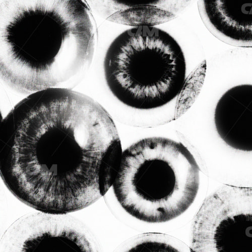Pupils