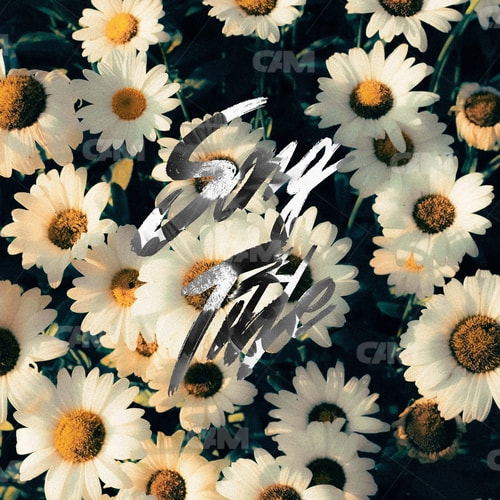 Really Nice Flowers